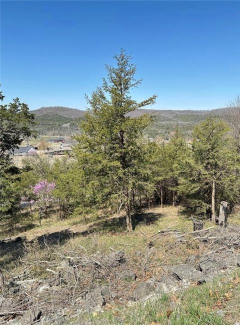 9 QuailRun Lane Holiday Island AR 72631