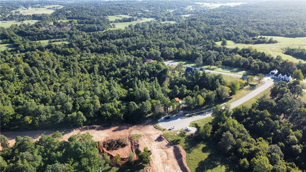 Discover Lot 29 of Blackberry Ridge, a scenic homesite integrated into the natural beauty of Fayetteville. This 1.59-acre lot provides the perfect canvas for your dream home, and you'll find yourself minutes away from I-49, providing easy access to shopping, dining, and more. Future plans for the community include a pool, pavilion, and soft walking trails. *Agent Owned*