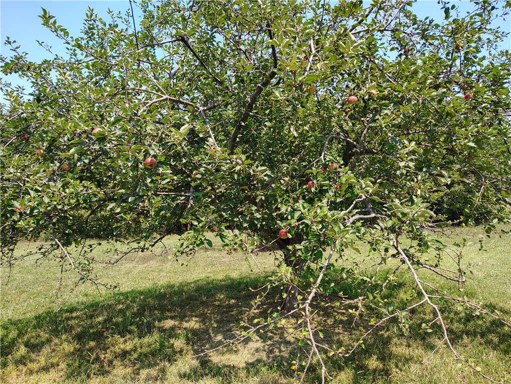 Trammel Mountain Estates - Residential Lease