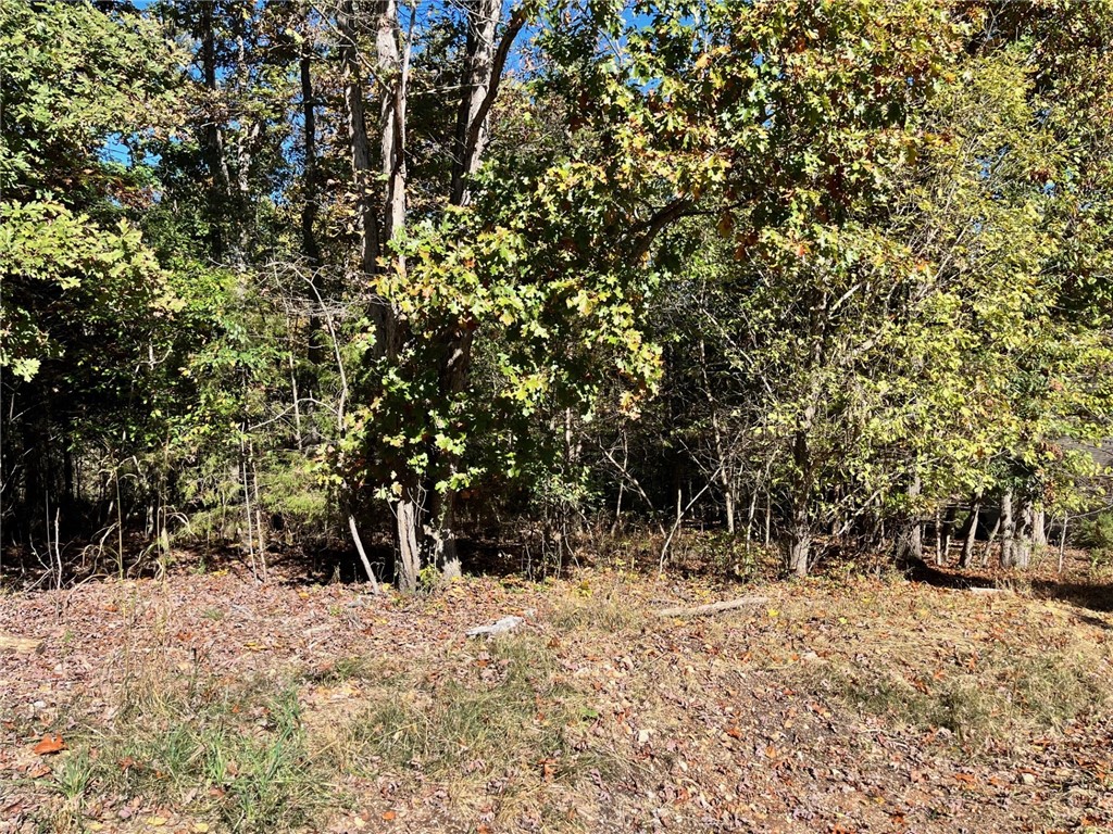 Here is your chance .31 acres gently sloping near Highway 71 shopping and minutes from
Kingswood/Berksdale golf courses and newly remodeled Reardon Rec center, pool and tennis courts.
Come see all that is has to offer.