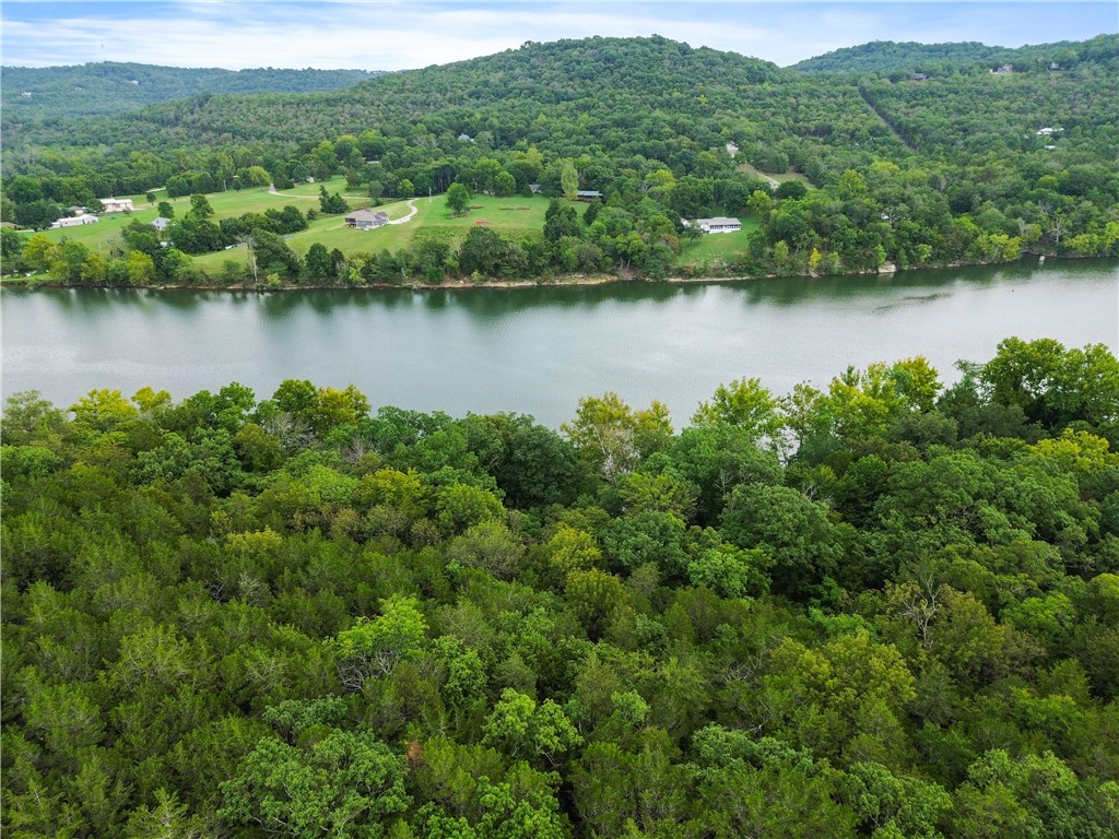 4 wooded acres looking out toward Table Rock Lake, on a mountainside w/fabulous view possible after you decide where you want to build (or not). The exceptional fishing below, directly in front of this property, is only one of the Reasons to choose this serene location. Located close to the charming and much sought after little town of Beaver, with its RV Park, swimming, camping, boat launching, and the famous swingin' Bridge, on the National Register of Historical Places, you will have access to all the nightlife, restaurants, microbreweries, Passion Play etc. in wonderful Eureka Springs. There's even a winery nearby ! Rogers is 40 mi. away with a yummy chocolate stop on the way, and XNA only a few mi. after that. Build your dream house on this waterfront property, or just hold on to it for a while, there's always a reason to own a piece of the Ozarks !