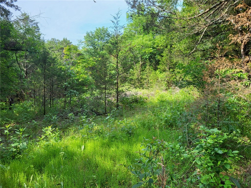 4 wooded acres looking out toward Table Rock Lake, on a mountainside w/fabulous view possible after you decide where you want to build (or not). The exceptional fishing below, directly in front of this property, is only one of the Reasons to choose this serene location. Located close to the charming and much sought after little town of Beaver, with its RV Park, swimming, camping, boat launching, and the famous swingin' Bridge, on the National Register of Historical Places, you will have access to all the nightlife, restaurants, microbreweries, Passion Play etc. in wonderful Eureka Springs. There's even a winery nearby ! Rogers is 40 mi. away with a yummy chocolate stop on the way, and XNA only a few mi. after that. Build your dream house on this waterfront property, or just hold on to it for a while, there's always a reason to own a piece of the Ozarks !