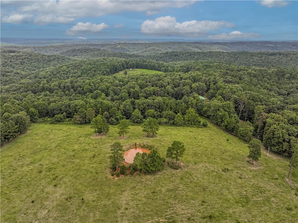 Perfect Setting for Your Dream Home, Weekend Retreat, or Mini Farm
This beautiful, fully fenced property offers the ideal blend of open pasture and secluded, park-like surroundings. With electric, septic, and a well already on site, itās ready for your vision. A versatile utility building can serve as a barn, plus thereās a pole shed for equipment storage. The property is equipped with both 30-amp and 50-amp electric hookupsāperfect for a motorhome or RV.
Endless dirt roads whether youāre riding side-by-sides, hiking in nearby state parks. Bring your cattle or other livestock, and take advantage of the included infrastructure for easy setup. An RV is also available for purchase, providing a comfortable place to stay while building your home or getaway cabin.