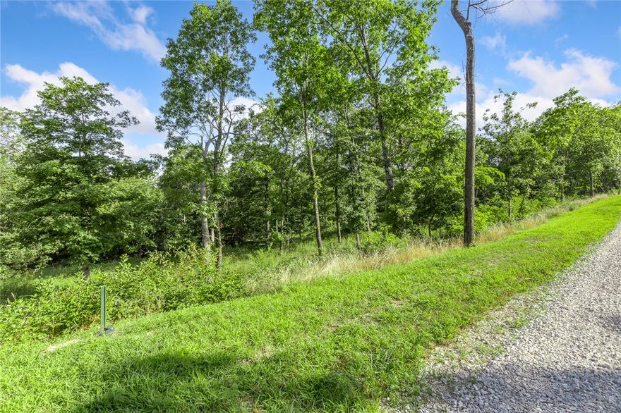The groundwork is already done for you!  This lot comes fully equipped with underground utilities already in place, including natural gas, fiber optic internet, electric, public water, and sewer. No waiting, no guesswork, no costly setup—just a smooth, ready-to-build opportunity from day one. RME is the newest subdivision in Harrison, AR. If you’ve been dreaming of trading city lights for star-filled skies, RME delivers. Beyond your homesite, you’ll have access to a 350 acre common area reserved for residents, featuring a stocked fishing pond, Kissing Rock Trail, natural springs, Baby Canyon Trail, striking bluff lines and views that stretch for miles.  *Terrapin Creek Rd will be paved in the future, per county officials.