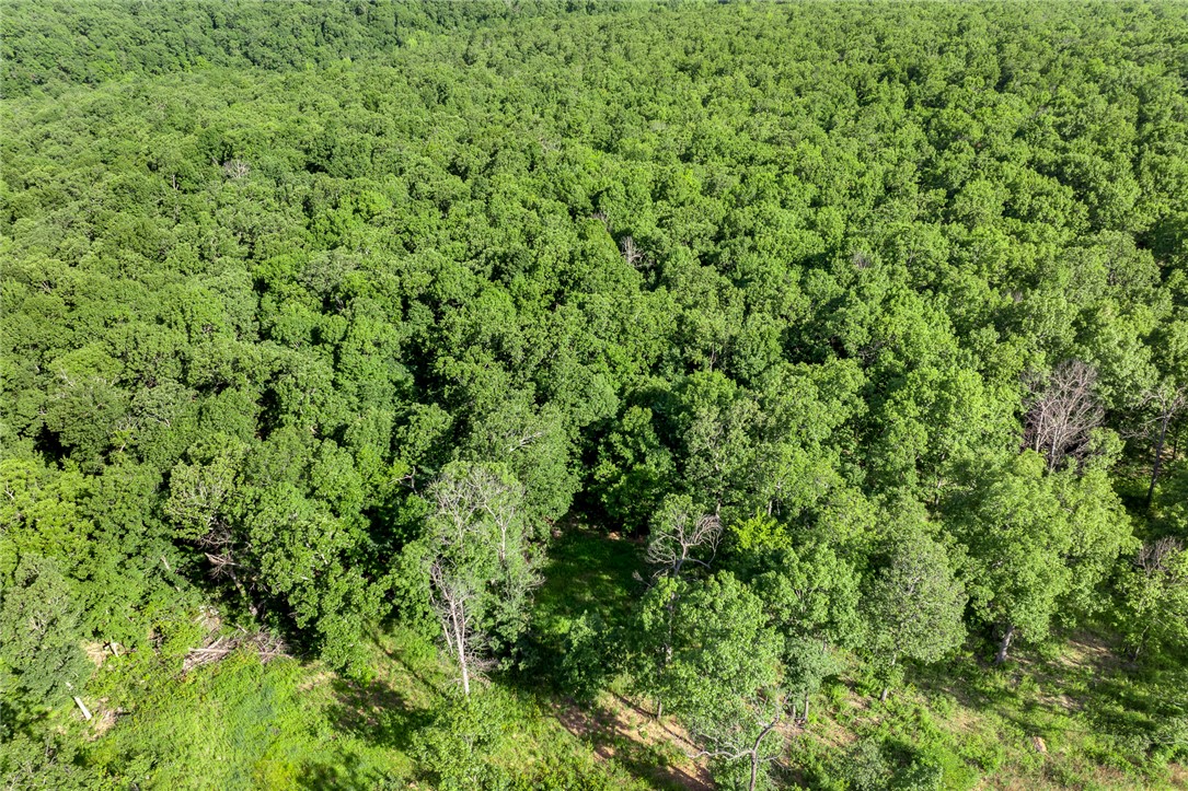 Round Mountain Estates - Land