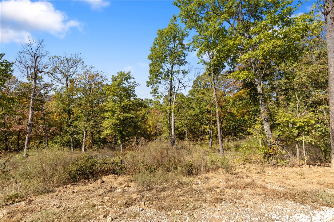 Round Mountain Estates - Land