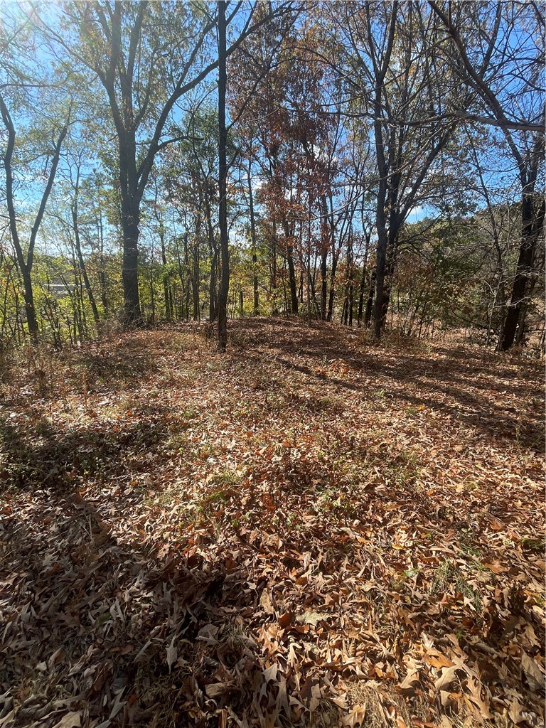 Elm Spgs Outlots - Land