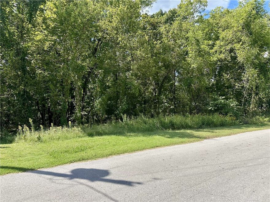 Build your dream home in Bella Vista on this gently sloped lot located near the end of a cul-de-sac just off Highland Blvd. Electric is available at the street and onsite septic is needed.

This property is within walking distance to the Tunnel Vision bike trail and only 5 minutes from the Bella Vista bike gondola, making it a perfect spot for cycling enthusiasts. You’ll also be just minutes from Loch Lomond with quick interstate access to Bentonville, while enjoying all the trails, lakes, and amenities Bella Vista is known for.

An ideal opportunity for a custom home, weekend retreat, or investment property in one of Northwest Arkansas’s most desirable locations.