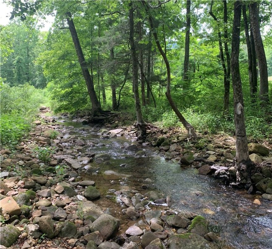 COVE CREEK!! 10.15 wooded surveyed acres with a nice building site and a 10’ x 12’ wood deck. Electric is available and the property has very few restrictions.