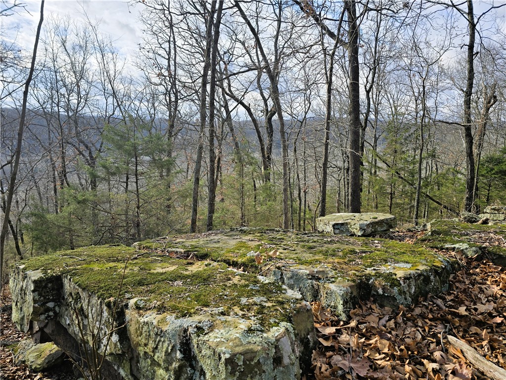 Brubaker Heights - Land