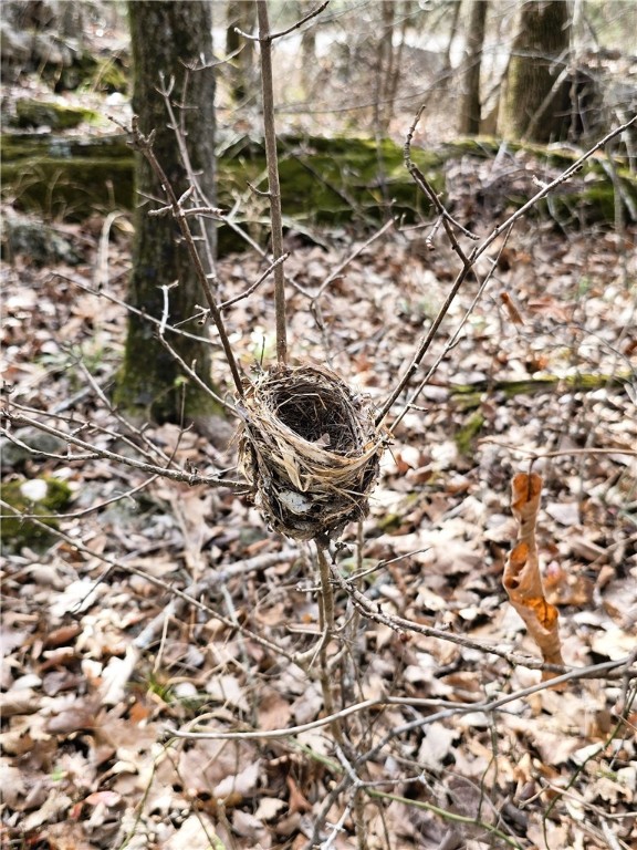 Brubaker Heights - Land