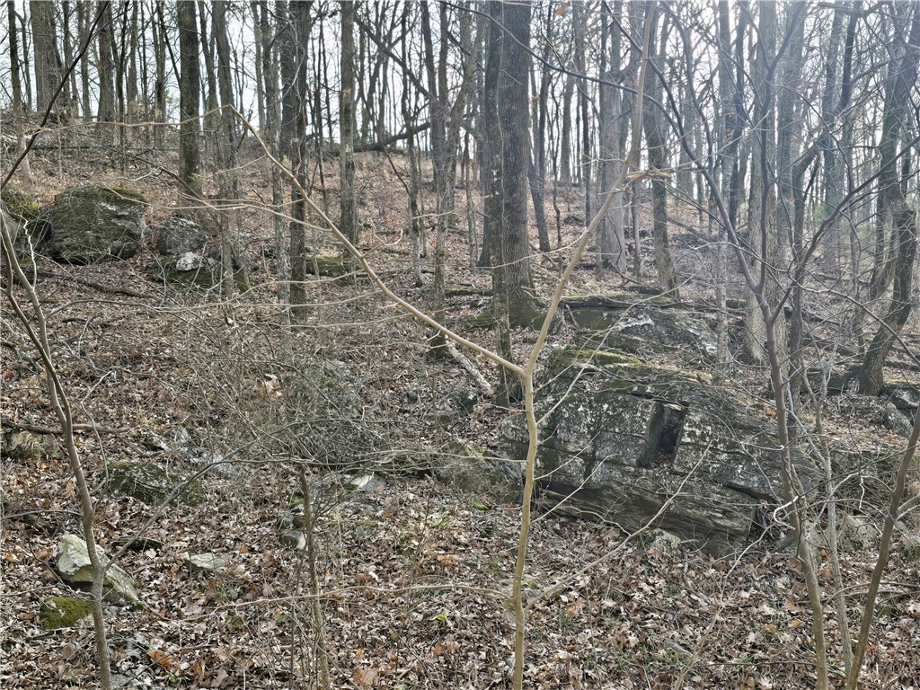 Brubaker Heights - Land