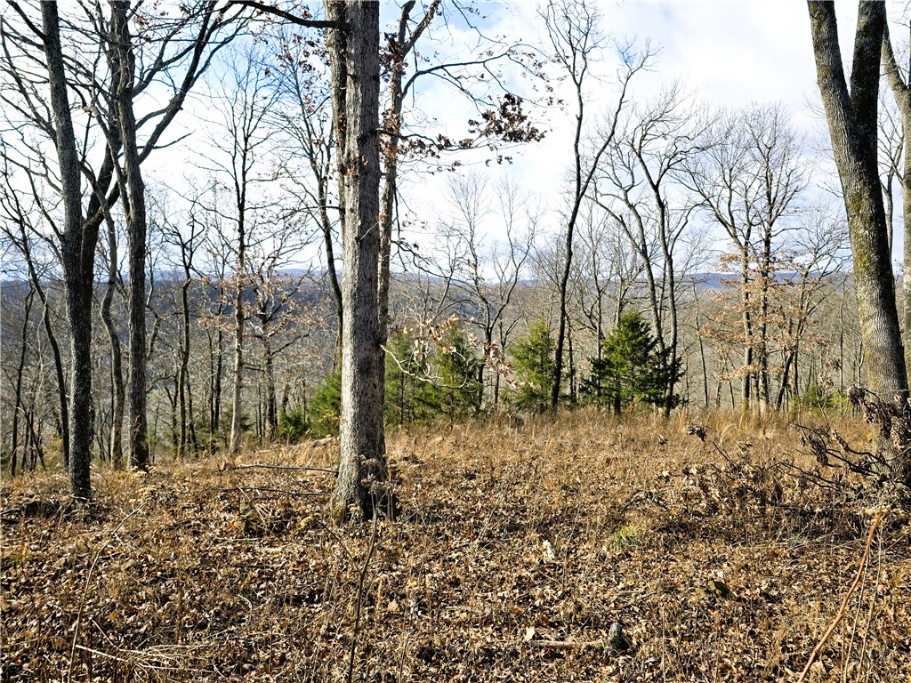 Brubaker Heights - Land