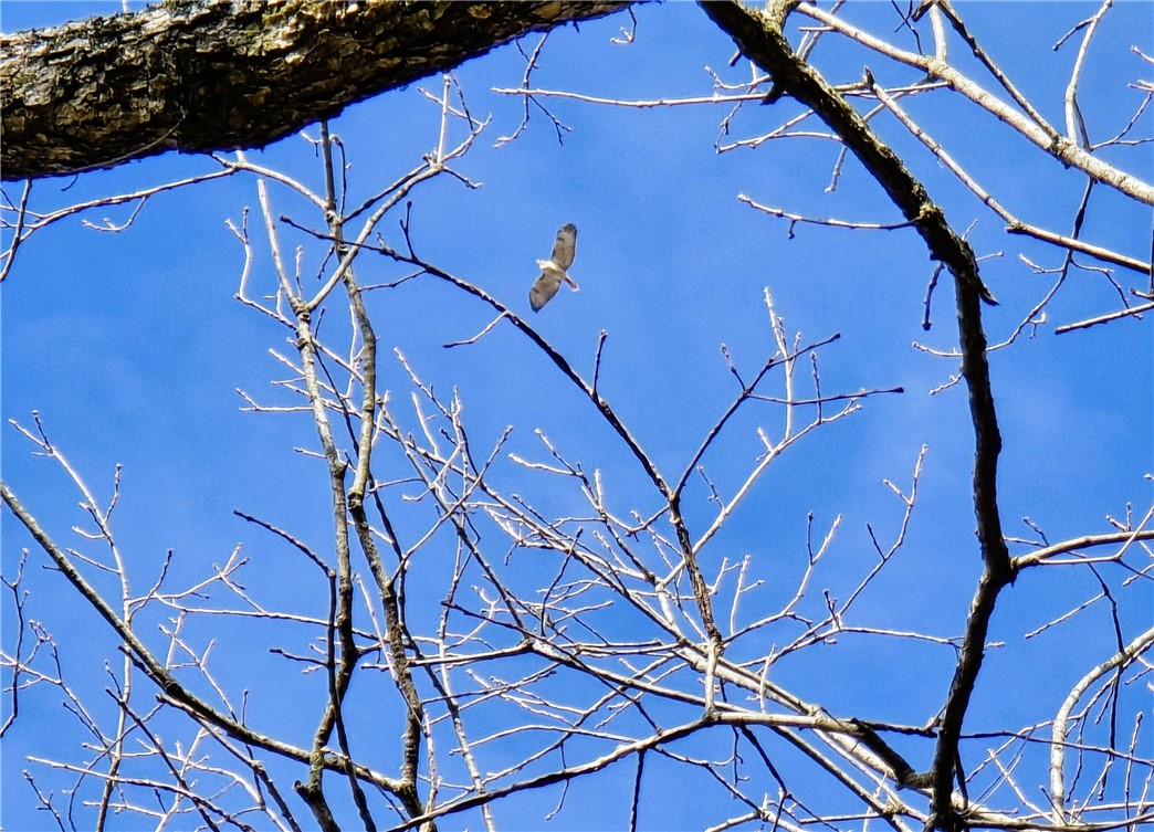 Brubaker Heights - Land