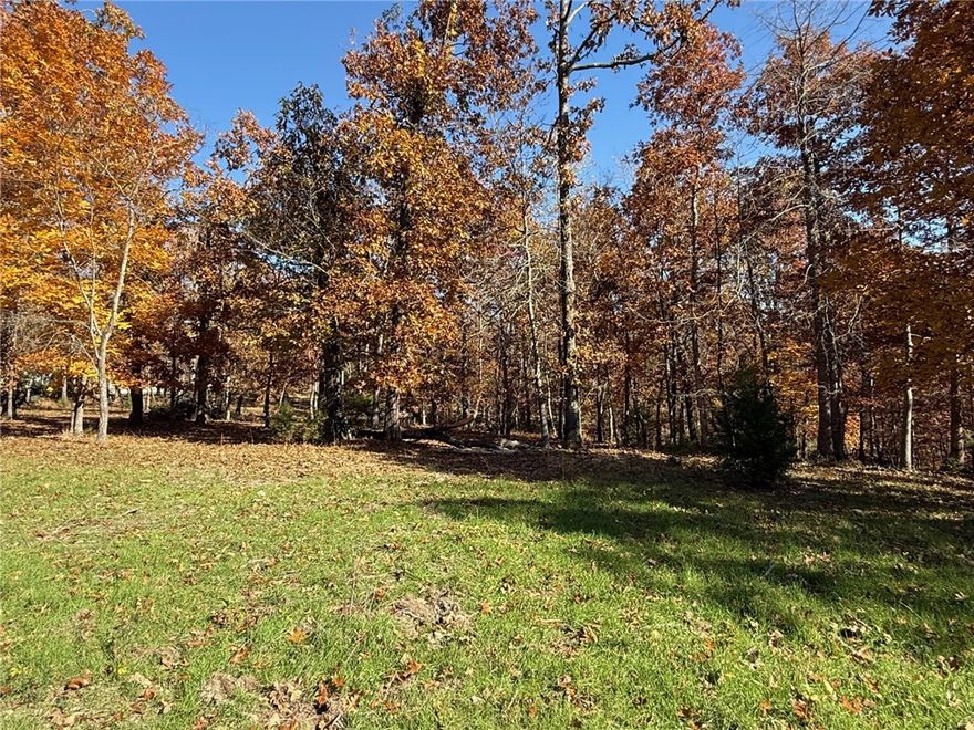 3.25 acres of rural privacy with easy NWA access. Partially cleared and partially wooded. This parcel sits between the scenic shores of Beaver Lake and minutes to vibrant downtown Rogers. Parcel touches        Ro Lynn Hills 2 Rurban Subdivision providing a sense of community while preserving expansive open space. Several nice building spots.