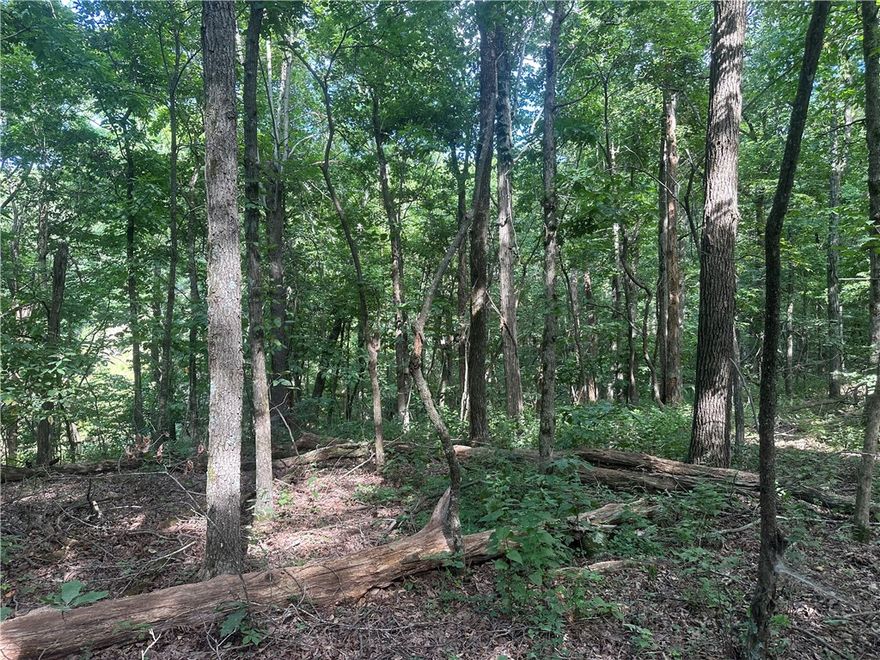 Very nice wooded property just a short drive off of Hwy 7, rural water and electric available, no building restrictions, great location for a cabin. More land available.