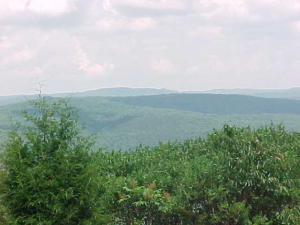 A VIEW OUT OF THIS WORLD....a rare find with this view, 22 acres adjoining the National Forest. This is a Hunter's Paradise as Bear, Turkey, Deer, Elk, Wild Hogs have been seen on this property. Walk across the road into the Wilderness Area and drive down the road to Haw Creek for a swim. Realtor Owned.