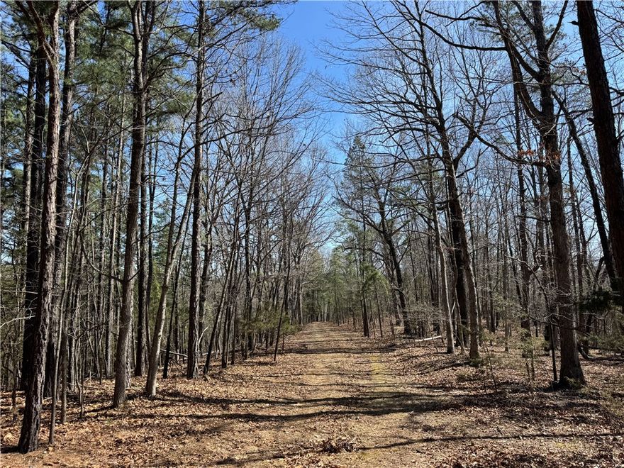 Discover 26.79 acres of pure Ozark beauty in Eureka Springs, Arkansas. This undeveloped property is perfect for building your dream home, creating a private getaway, or enjoying endless recreational possibilities. Surrounded by mature trees, rolling mountains, and stunning natural views, the land is rich with wildlife—deer and other native animals are frequent visitors. With serene privacy and breathtaking scenery, this slice of Eureka Springs offers the ideal blend of peace, nature, and potential. Don’t miss the chance to make it yours.