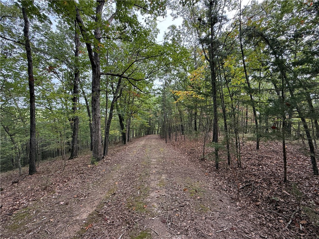 Southern Hills # V - Land