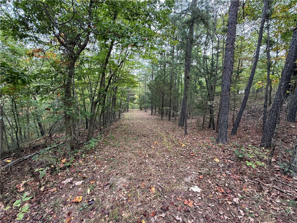 Southern Hills # V - Land