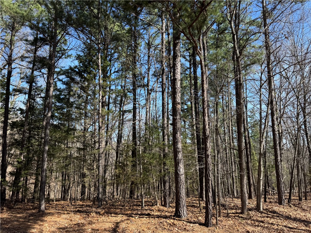 Southern Hills # V - Land