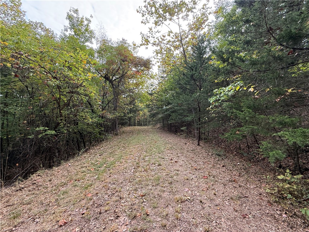 Southern Hills # V - Land