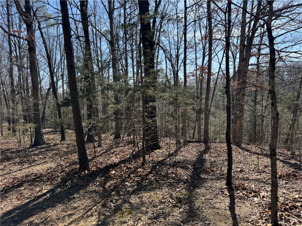 Southern Hills # V - Land