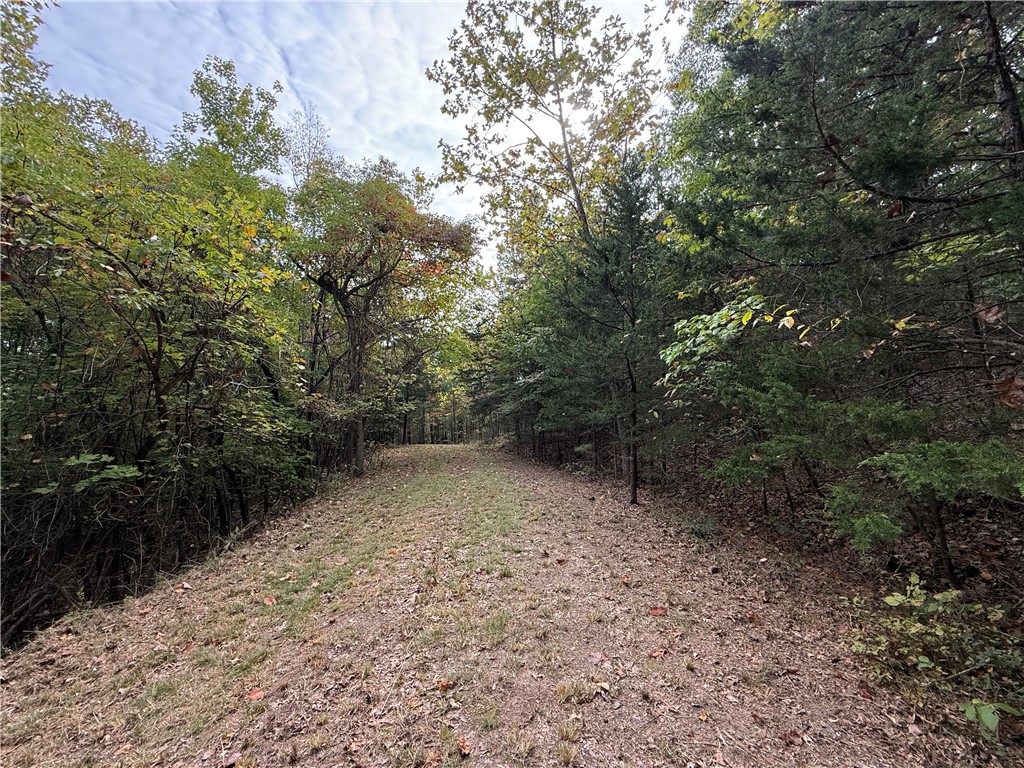 Southern Hills # V - Land