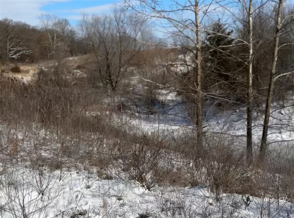 Snyder Estates Ph Iii Rurban - Land