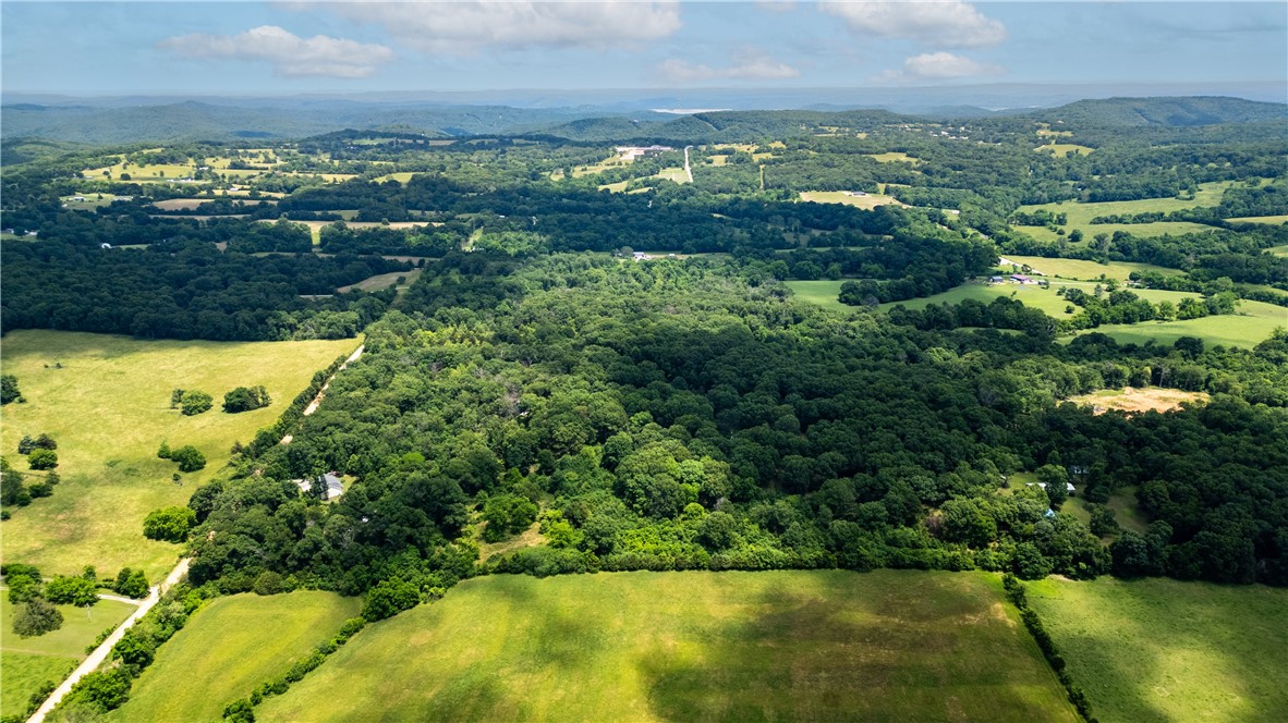Five absolutely beautiful and level acres for your home and shop. All of the property is a potential building site. The location is perfect. Outside city limits but not far from town. Within 10 minutes of Rogers and Pea Ridge and 25 minutes of Walmart headquarters. This land offers beautiful space for a large yard and a garden. Lots of deer and maybe an occasional turkey. Large oaks throughout the property. More/less land may be available. White flagging and post with lot numbers along driveway are approximate only.