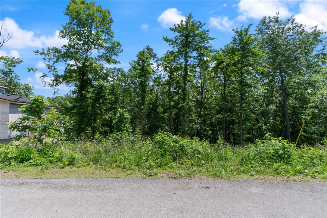 Buildable .32 acre lot. Enjoy all the amenities Bella Vista has to offer. Back 40 trail nearby for the bike enthusiasts.