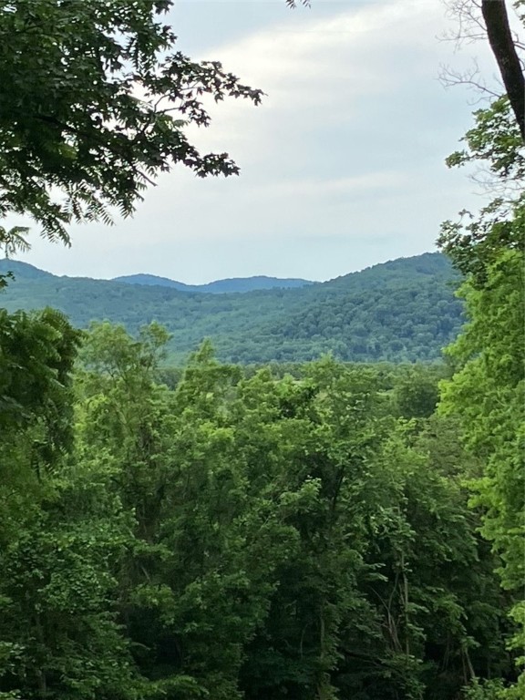 53+/- acres with gorgeous mountain views!! This property already has an RV pad, a 50 amp RV hook-up, Ozarks Go internet, 220 electric amp service and a water tap with water expected to be available by November. The views are beautiful, it has 2 natural springs and a wet weather creek. This property is set up for RV life while you build, ample wildlife would make for the perfect hunting oasis or campsite located just 15 minutes to popular Trail Riding for ATV enthusiasts. Cell tower lease does not convey. RV and tractor do not convey.