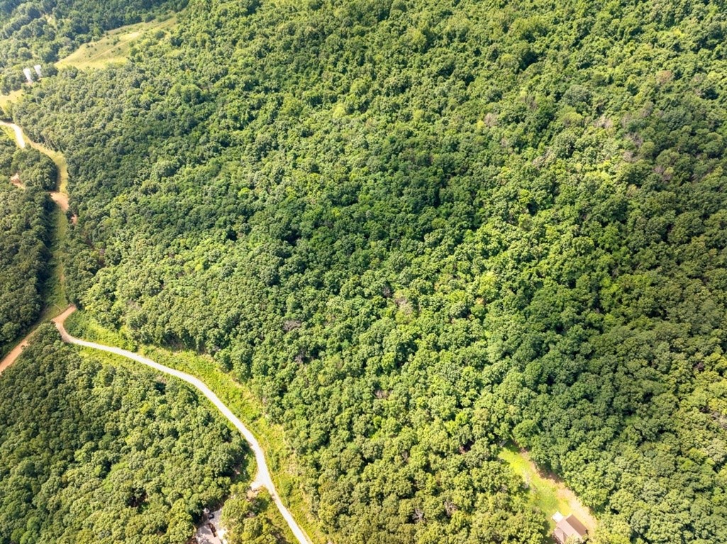 10 surveyed acres located just 4 miles from Carver (Buffalo National River), 9 miles to Jasper, and 14 miles to Western Grove. Level to gently sloping terrain with multiple potential build sites. Scenic views and peaceful setting ideal for a home, cabin, or recreational retreat. County road frontage on two sides with utilities available at the road, including rural water, electric, and cable. Needs septic. Survey on file. Great location for enjoying the Ozarks with easy access to hiking, fishing, and floating nearby.