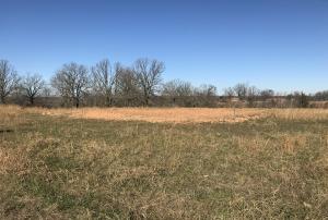 Very nice lot just north of Harrison off of Old 65 Hwy with paved streets, underground utilities and ready for your forever home. Less than 10 mins to Harrison and 25 mins to Branson, Mo.