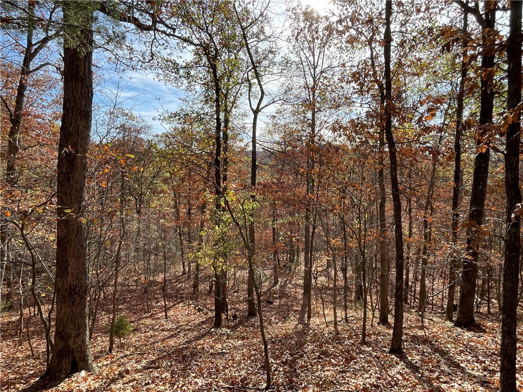 Discover your private outdoor retreat nestled in the heart of Madison County, Arkansas. This secluded land offers endless potential for outdoor enthusiasts and hunters alike. 20 wooded acres of mature trees and natural Arkansas beauty. Perfect for hunting with abundant deer population and the possible bear or wild turkey sighting. Set up your blinds and stands to experience some of the best hunting opportunities in the region. Rolling hills, dense tree cover and natural trails make this ideal for hiking and building your custom hunting cabin or rustic retreat. Donāt miss this chance to own a slice of Arkansas wilderness. Perfect for a family hunting property or a peaceful getaway for nature lovers. Secure your place in the woods and start planning your dream retreat today!