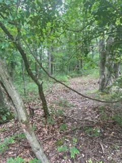 Building lot in desirable area. Lots of activity and just up from Lake Loch Lomond Front corners pinned and flagged