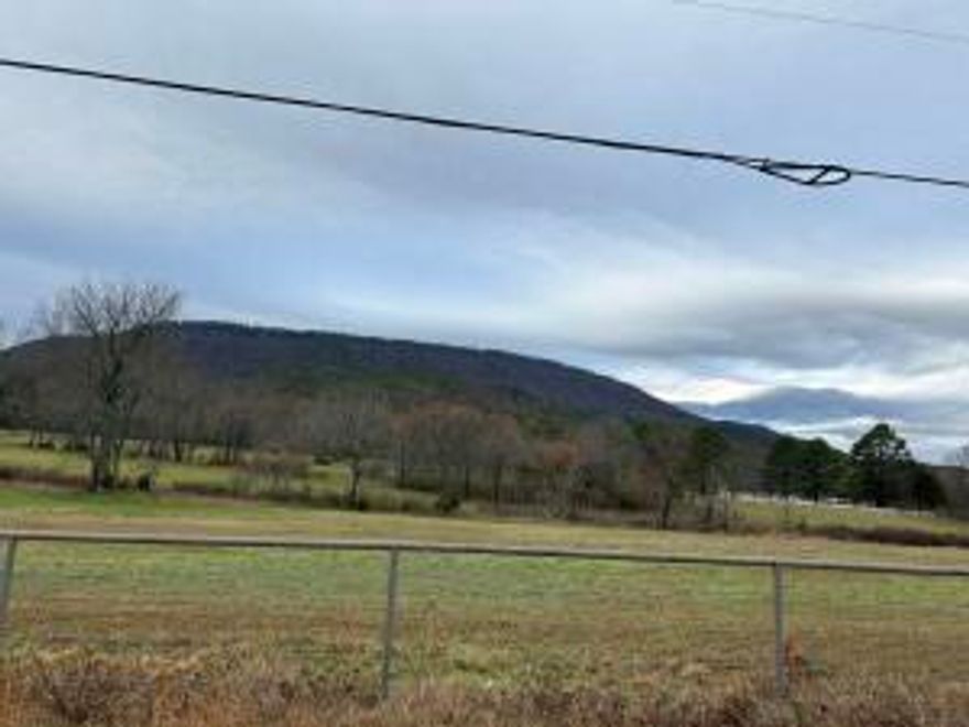 This listing is tract 2 a 5 acre lot on Bethel Rd beginning at 620 feet south from the corner of Bethel Road and Nebo Road.  This tract has a full view of  Mt Nebo and a large pond.  A gorgeous place to build your dream home.  There are two other tracts being offered at $75,000. each.