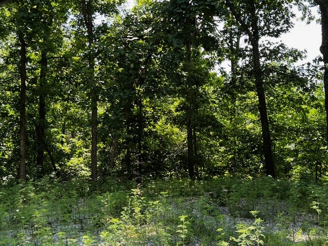Photo 1 of 2 — Lot 6 Southborough Lane, Bella Vista, AR 72714