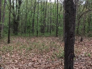 Flat/Beautiful Lot ~ perfect for a Dream Home. Lot on corner of Evanton RD & Coldstream LN. Easy access to Loch Lomond & Bella Vista Bypass. Close to all amenities Highlands has to offer. Coldstream ends on a cul-de-sac. Partially wooded lot, Water & Electric available at street. This is a must see! Hurry before it’s gone.