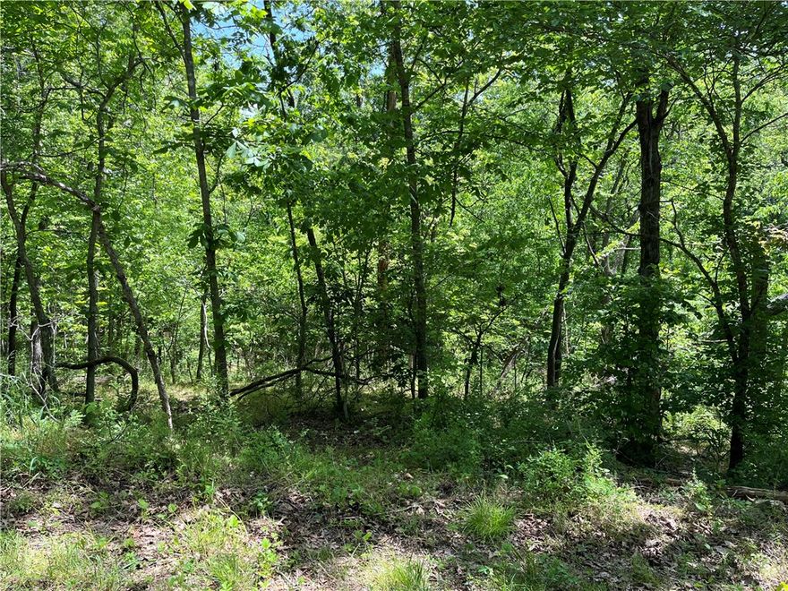 Near the end of Stoneykirk Dr with minimal traffic, just over 100 yards to Lake Loch Lomond boat ramp and near the Branchwood Recreation center on Glasgow Rd. This full-acre, wooded lot with a wet weather brook along the back boundary would offer your home the beauty of nature while remaining in a convenient location. The short commute to I-49 makes travel easy for anyone looking to live in NWA.