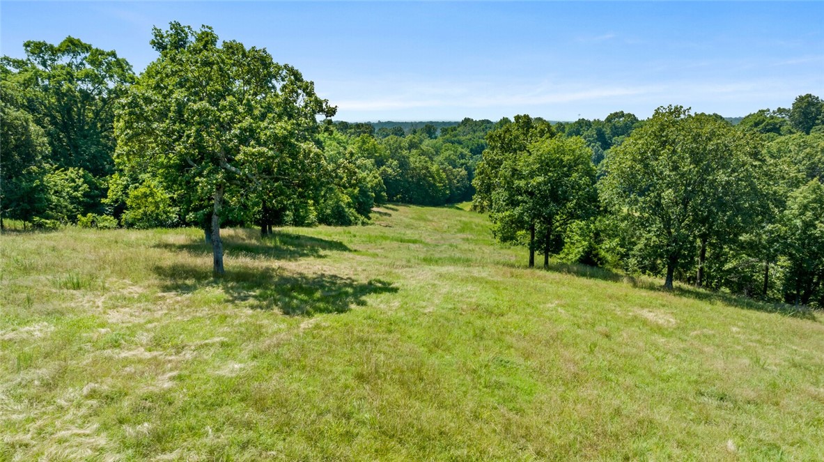 Wheeler Heights Development - Residential