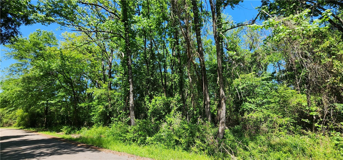 Come and see this home sight on a rare 1 acre lot in a quiet established subdivision on the south end of Russellville City Limits. This residential lot boasts country life while still being in the city. Area has quick access to Russellville amenities as well as Dardanelle and Pottsville. Enjoy the outdoors being minutes from the Arkansas River, Mt. Nebo, Old Post Park, and Lake Dardanelle. It is located in Pottsville school district.