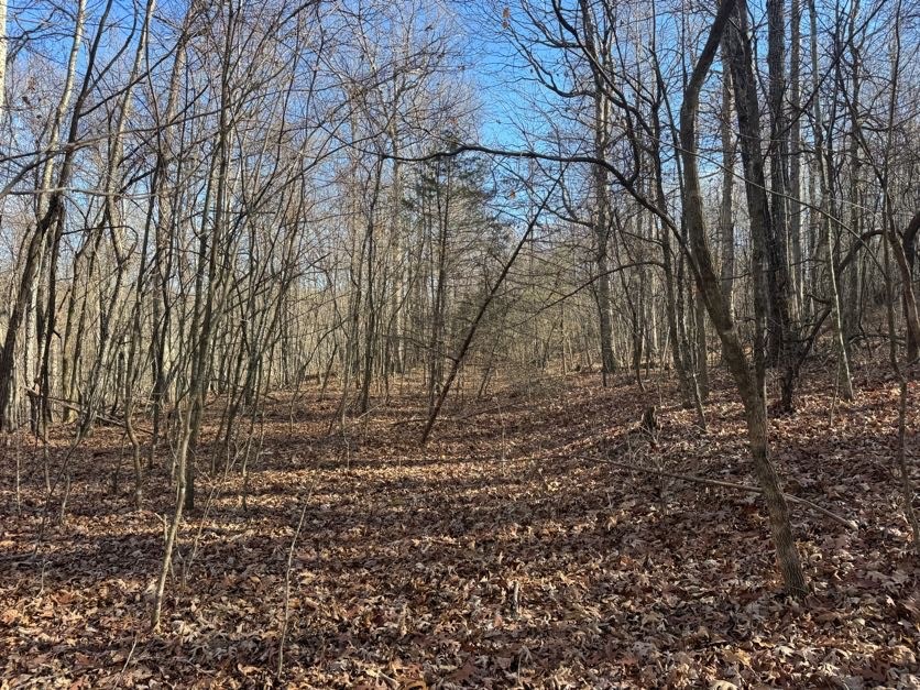 not in subdivision - Land