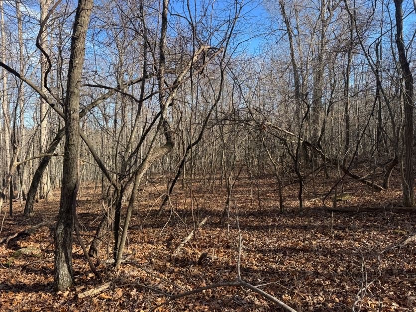 not in subdivision - Land