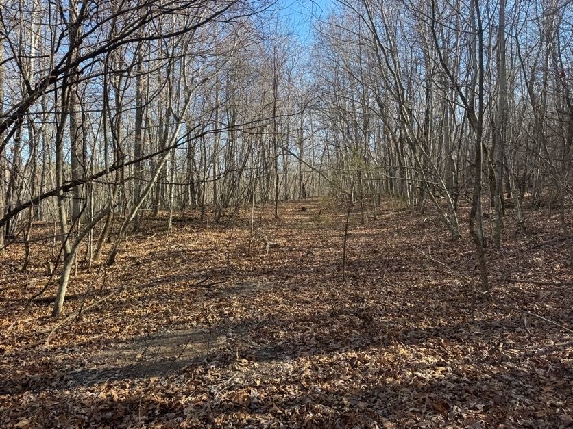 not in subdivision - Land