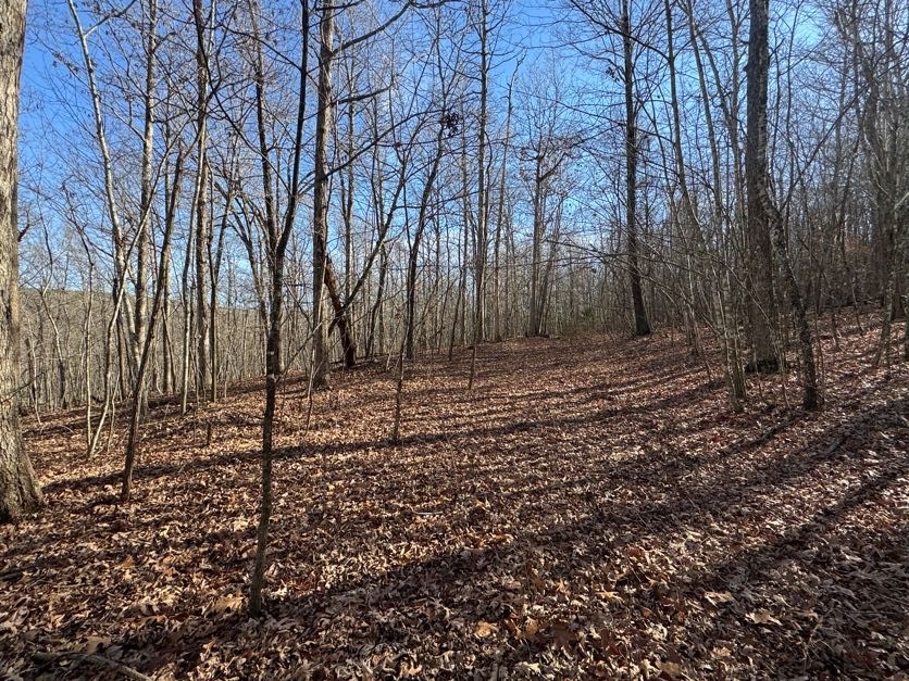 not in subdivision - Land