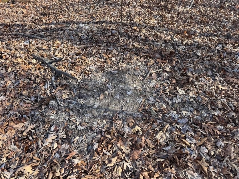 not in subdivision - Land