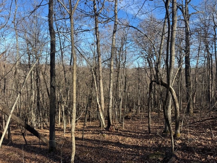 not in subdivision - Land