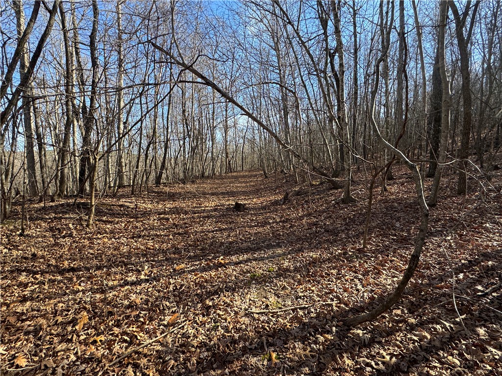 not in subdivision - Land