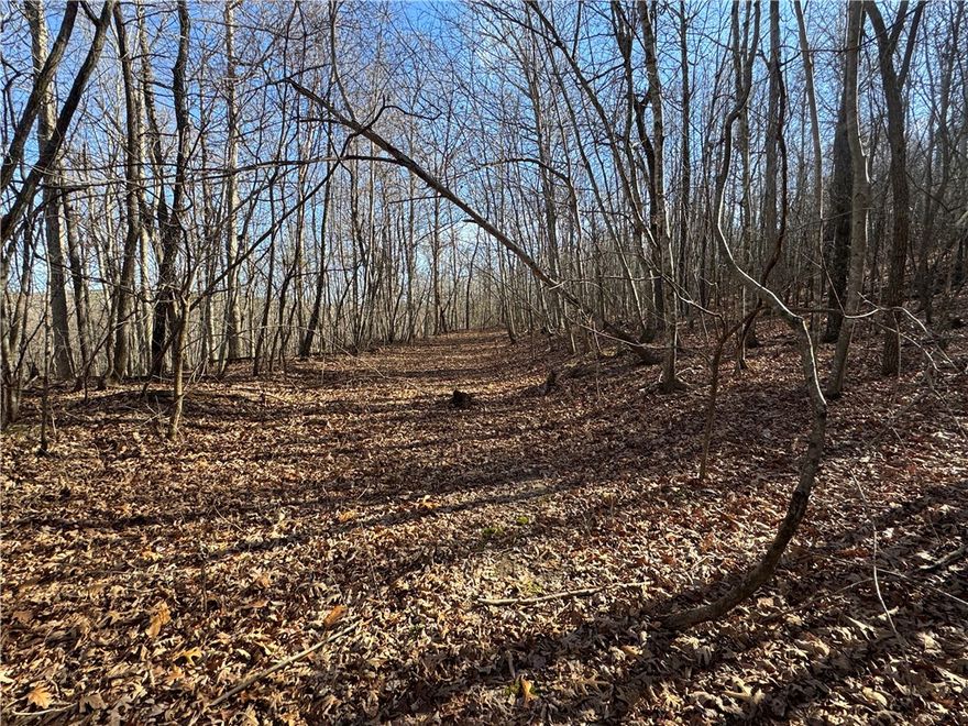 Discover your own slice of Ozark paradise with this stunning 40-acre property in Compton, Arkansas. Located in the heart of the scenic Ozarks and just minutes from the Buffalo National River, this beautiful tract offers the perfect blend of seclusion, natural beauty, and outdoor adventure with abundant wildlife in a peaceful setting. Towering hardwood trees provide a lush canopy, making this an ideal spot for hunting, hiking, or simply enjoying the quiet sounds of nature. Deer, turkey, and other native wildlife are frequent visitors, creating a true sportsman’s retreat. With rolling terrain, multiple potential building sites, and easy access to nearby activities, this property is perfect for a private getaway, recreational haven, or future homesite. Whether you’re looking to escape the hustle and bustle, explore the great outdoors, or invest in a piece of the Ozarks, this rare offering delivers endless possibilities. Additional Land available MLS 1336121 and owner financing available.